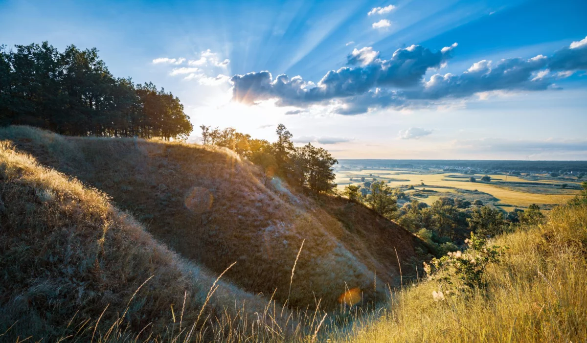 Metody jak dobrze oddać elektrośmieci