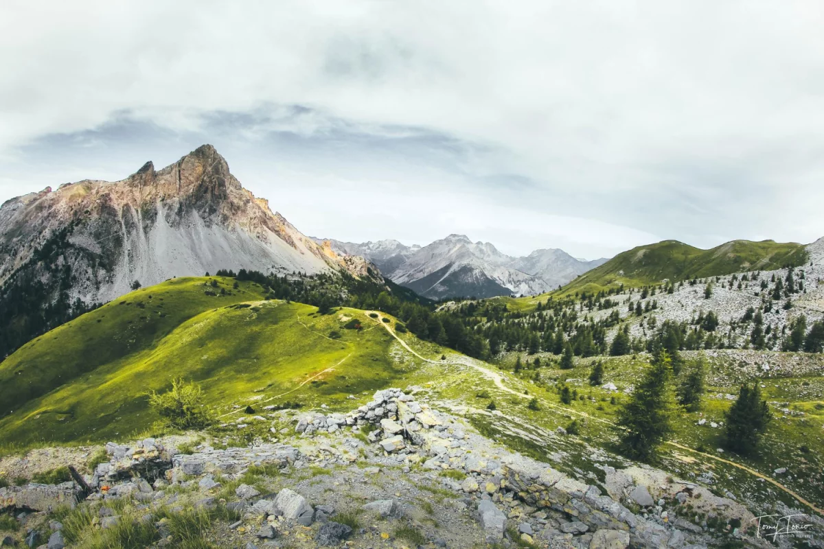 Jak w 2020 szybciej  transportować ponadgabaryty?