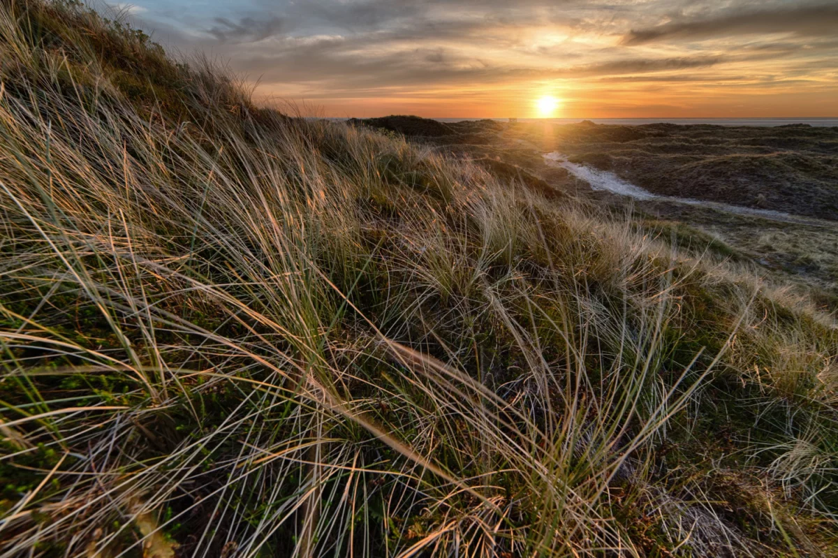 Śmiali Się Gdy Powiedziałem, że Chcę sprowadzić auto z Niemiec. Ale Gdy Zobaczyli Jak ...